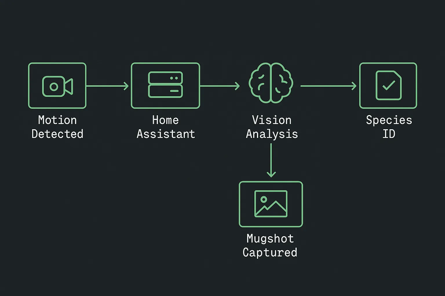 Animal Detection Pipeline